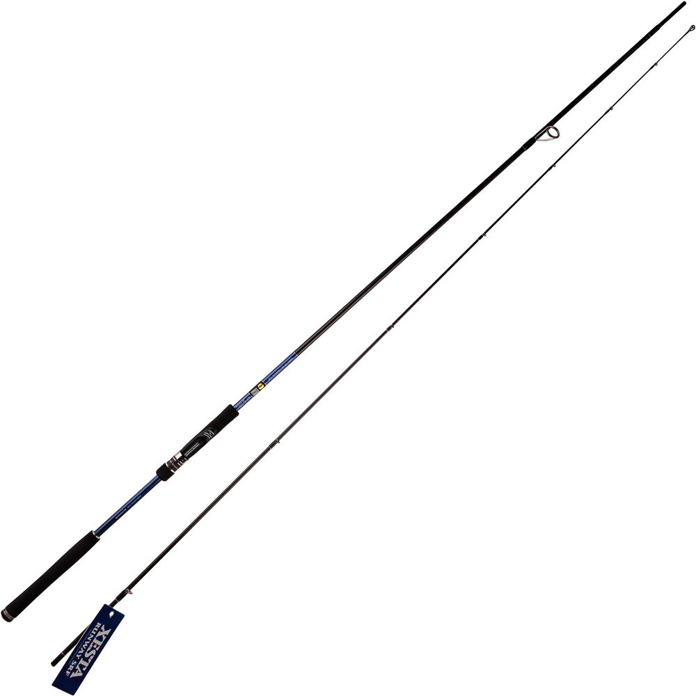 Спиннинг Xesta Runway SRF 10.3M Multi Navigator (3.2м; 10-50г