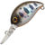 Воблер Zipbaits Baby Hickory MDR (2,6г) 316