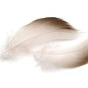 Перья утки Veniard Woodcock Body plumage Natural