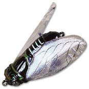 Воблер Daiwa Drown Cicada