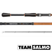 Спиннинг Team Salmo Treno