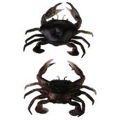 Приманка Savage Gear 3D Manic Crab