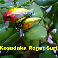 Kosadaka Roger Surf – разрушитель мифов! Обзор