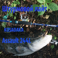 "Штурмовой" лайт Kosadaka Assault 244L