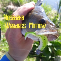 Новый виброхвост Kosadaka Weedless Minnow, и с чем его едят? Обзор