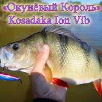 «Окунёвый Король» Kosadaka Ion Vib 65S. Обзор
