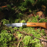 Обзор ножа Opinel №6 VRI Tradition Inox. Скальпель грибника.