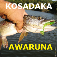 Обзор виброхвоста Kosadaka Awaruna.