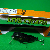 Обзор Presso Live Cicada – уловистое насекомое от Daiwa