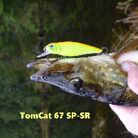 Обзор Fishycat Tomcat 67SP-SR Кот со старинной родословной