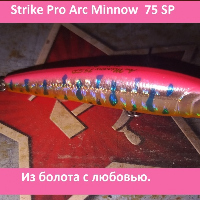 Strike Pro Arc Minnow  75 SP и развлечения на болоте. Обзор
