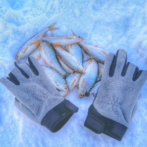 Обзор перчаток для рыбалки Norfin Argo, опыт эксплуатации