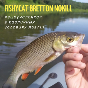 Обзор Fishycat Bretton Nokill – «выручалочка» в различных условиях ловли!