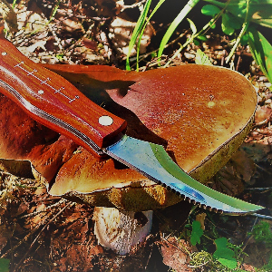 Обзор ножа для грибников от Kosadaka