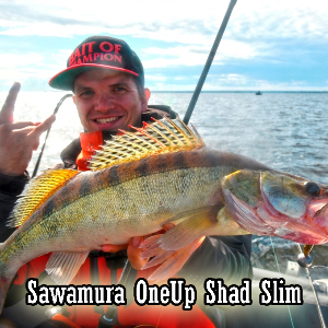 Отличное продолжение серии - Sawamura OneUp Shad Slim. Обзор