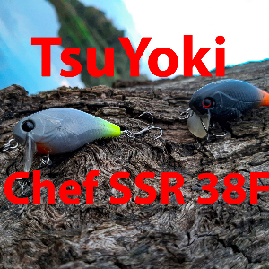 Обзор TsuYoki Chef SSR 38F. Уловистый шеф!