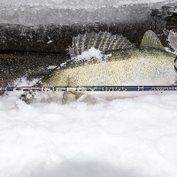 Спиннинг Kosadaka Cinergy Bass Special в условиях уральской зимы