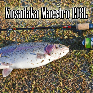 Лучший бюджетный форелевик Kosadaka Maestro 198L. Обзор.