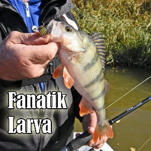 Обзор Fanatik Larva: козырная личинка от Fanatik.