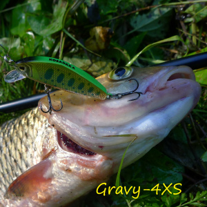 Обзор Kosadaka Gravy-4XS: воблер для нескучной рыбалки.