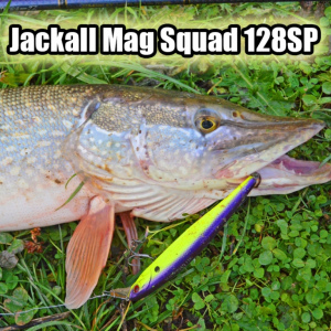 Обзор Jackall Mag Squad 128SP: классика среди крупных воблеров.
