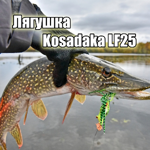 Самая эффективная лягушка - Kosadaka LF25. Обзор