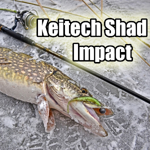 Длиннохвостый «искуситель». Обзор на Keitech Shad Impact.