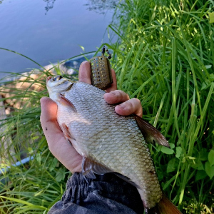 Отличный вариант для течения. Обзор Кормушки DAM Detek Groundbait Feeder Swivel