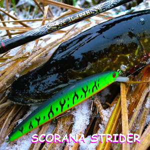 Обзор воблера Scorana Strider Minnow. И недорог и уловист