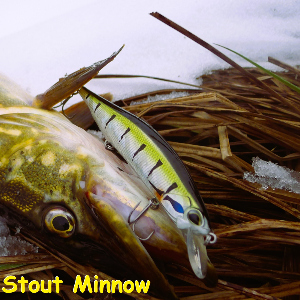 Обзор воблера Scorana Stout Minnow. Упорист и уловист