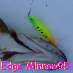 Обзор воблера Scorana Edge Minnow 95F. Бедный родственник «Риджа»