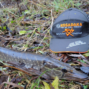 Обзор бейсболки Kosadaka Smart Tackle.