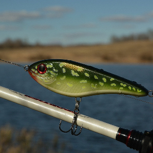 Обзор Strike Pro Buster Jerk II