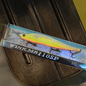 Сравнение Megabass Vision Oneten Plus 1 и TsuYoki Wink MR 110SP