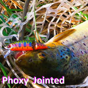 Обзор воблера Phoxy Jointed 60S. Уловистый составничок от Sakura