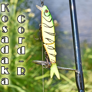 Составной «старичок» от Kosadaka. Обзор Kosadaka Cord-R XS