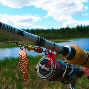 Обзор блесны Effzett UV-Spinners. Ивовый лист от DAM