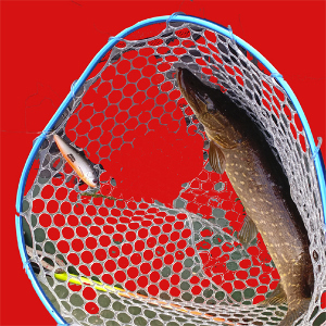 Революция для конкретного рыболова: обзор Abu Garcia Beast Rattlin Atom.