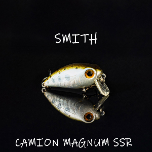 У начала пути. Обзор Smith Camion Magnum SSR.