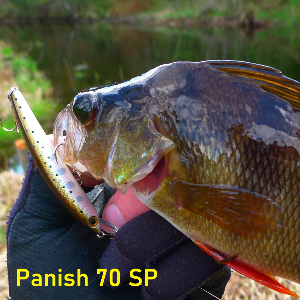 Обзор воблера Smith Panish 70SP. Самый универсальный Паня