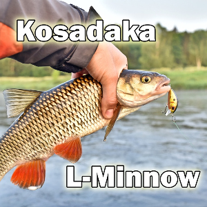 Голавлевый шэд от Kosadaka. Обзор Kosadaka L-Minnow XS 33S
