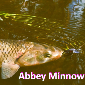 Обзор воблера Abbey Minnow. Задорный новичок от Jackall