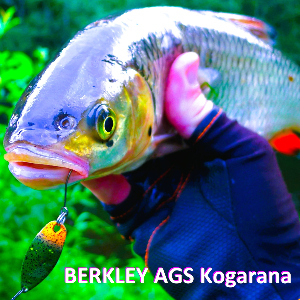 Обзор блесен AGS Kogarana. Уловистое «железо» от Berkley
