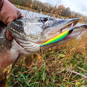 Обзор воблера TsuYoki WATSON SR 90SP.