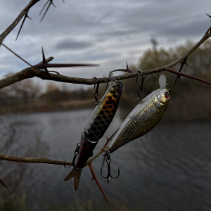 Гены пальцем не сотрешь. Или младший из «Магаллонов».Обзор Jackall Tiny Magallon