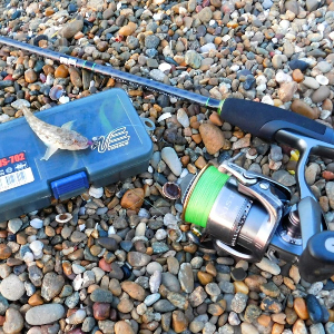 Дешево, не значит плохо! Обзор Major Craft Dangan Braid PE X4