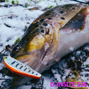 Обзор воблера Smith D-Inсite 53S. Горбатый подстрекатель