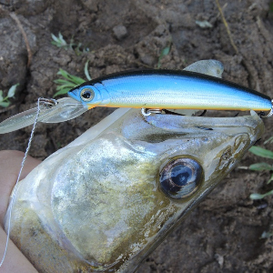 Обзор воблера Strike Pro Magic Minnow 85.