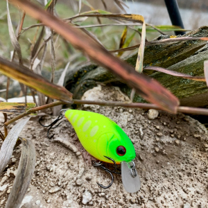 Неординарный воблер Strike Pro Cranky-X 50 или рыба сошла с ума. Обзор