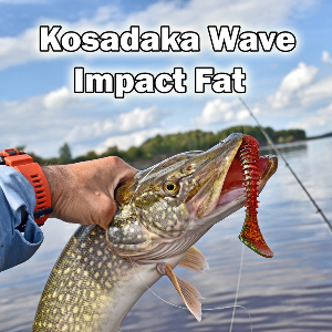 Увесистый «фэт» от Kosadaka. Обзор Kosadaka Wave Impact Fat